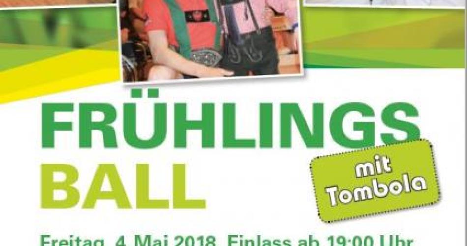 Plakat Frühlingsball 2018